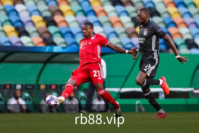 rb88.vip公司环境
